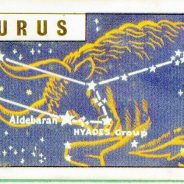 Constellation of the month December : Taurus