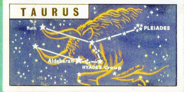 Constellation of the month December : Taurus