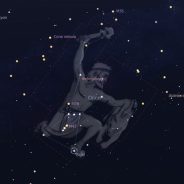 Constellation of the Month January : Orion