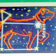 Constellation of the Month February : Canis Major