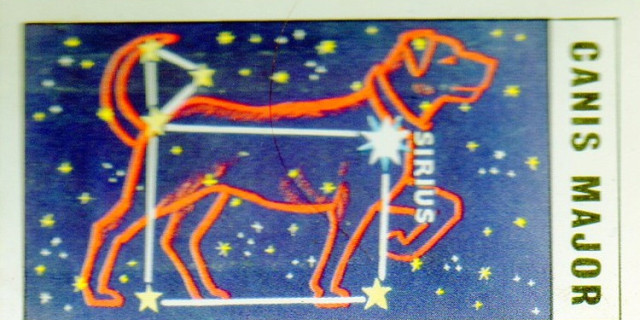 Constellation of the Month February : Canis Major