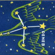 Constellation of the Month July : Cygnus