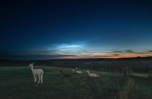 Noctilucent clouds above Lower Wensleydale